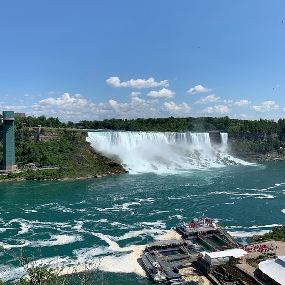 Meet your Posher, Arlene - Picture 1 of 1